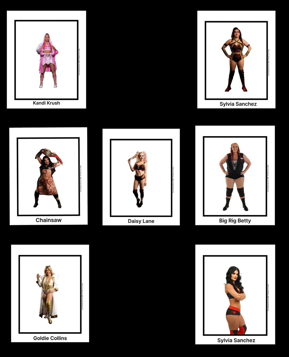 WOW Superstars Wrestlecon Promo Photo Collection
