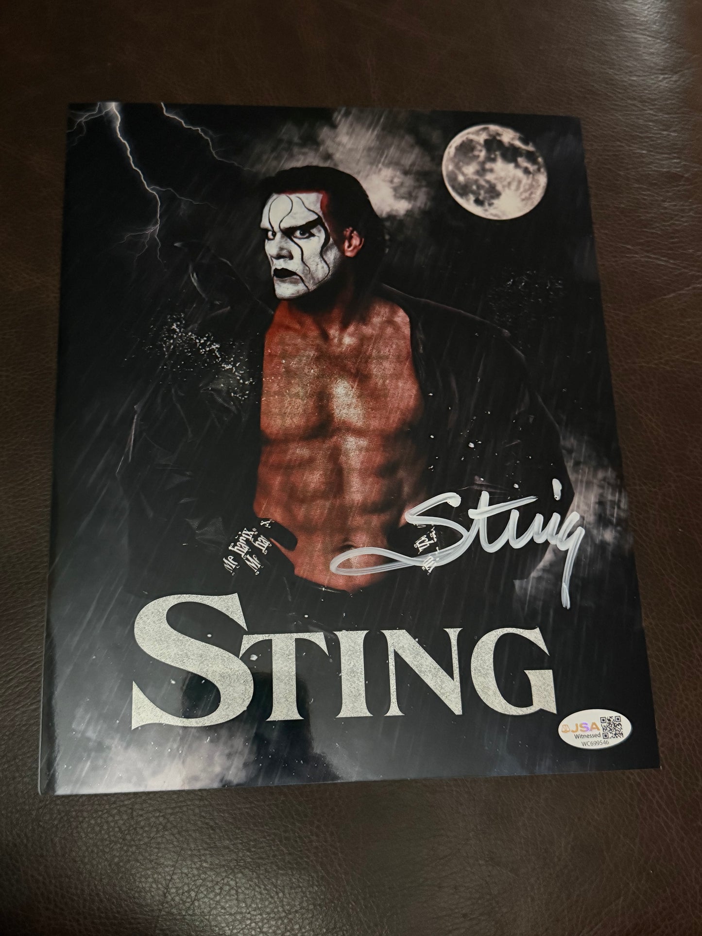 Sting JSA certed Autographed 8x10 Photo