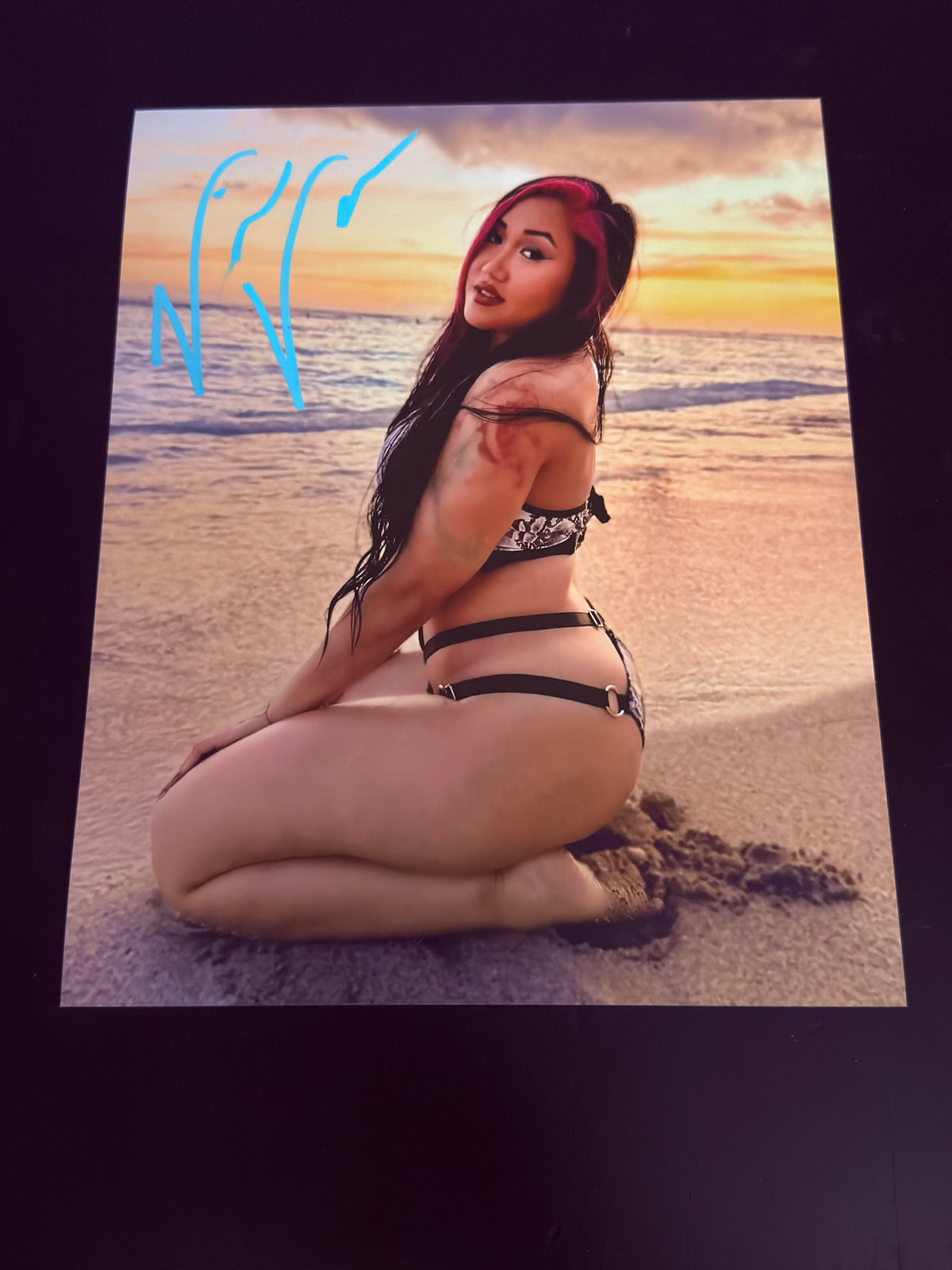 Viva Van Autographed 8x10 Photo