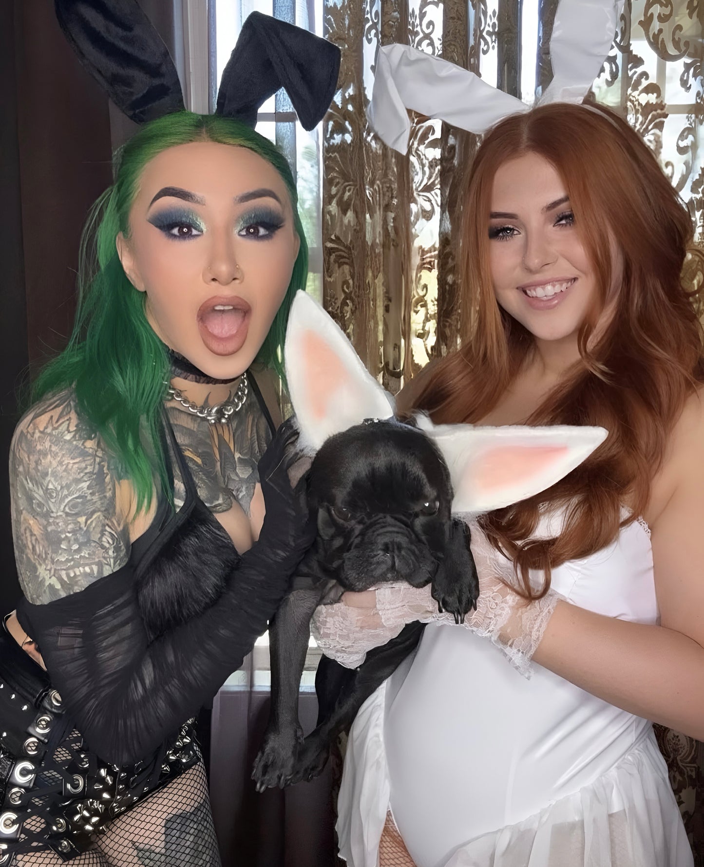 Brandi Lauren & Shotzi Blackheart Dual Signed 8x10 Preorder
